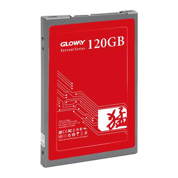 هارد SSD Gloway با ظرفیت 120 گیگابایت مدل FER