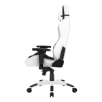 صندلی گیمینگ ای کی ریسینگ سری مستر مدل AKRacing Masters Premium سفید مشکی