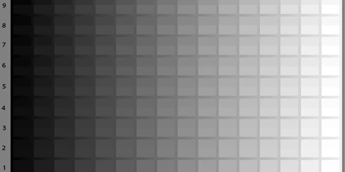 Gray to Gray (GtG)