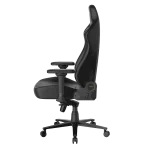 صندلی گیمینگ دی ایکس ریسر Dxracer Martian Series 2025 XL Black