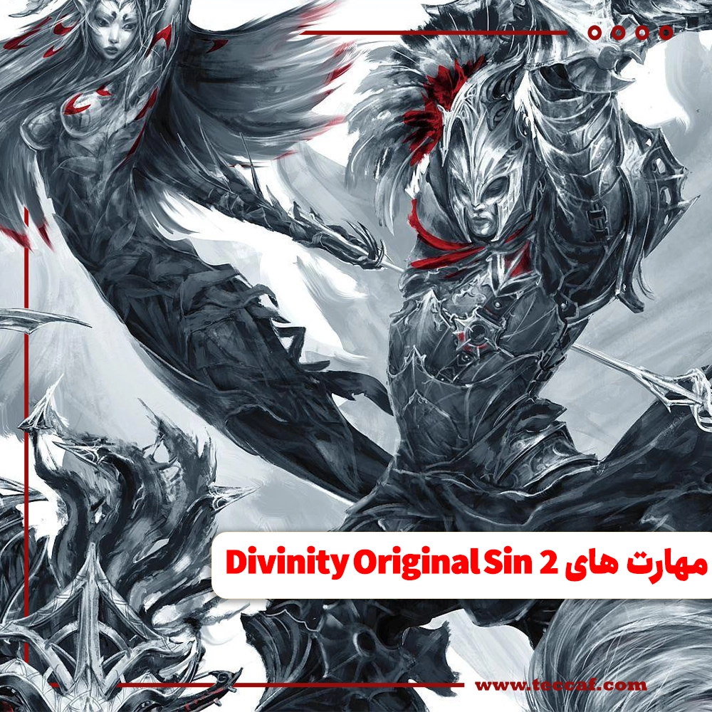 Divinity Original Sin 2