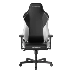 صندلی گیمینگ دی ایکس ریسر Dxracer Drifting Series 2025 L Black White