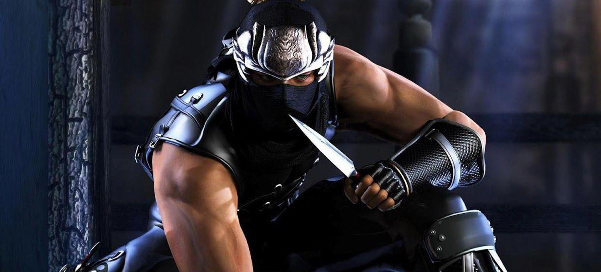 Ninja Gaiden 2 Black