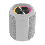 اسپیکر بی سیم تازاتا TAZATA PALM 100 Gray