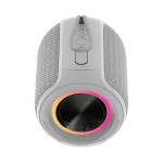 اسپیکر بی سیم تازاتا TAZATA PALM 100 Gray