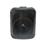 اسپیکر قابل حمل تازاتا TAZATA PARTY FS-T868