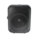 اسپیکر قابل حمل تازاتا TAZATA PARTY FS-L1210