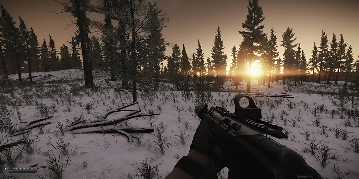 Tarkov