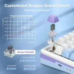 کیبورد بی سیم مکانیکال گیمینگ ردراگون Redragon Cyrus PRO K681 WBP