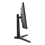 مانیتور گیمینگ 25 اینچ انت گیمر AntGamer ANT25DVFIL
